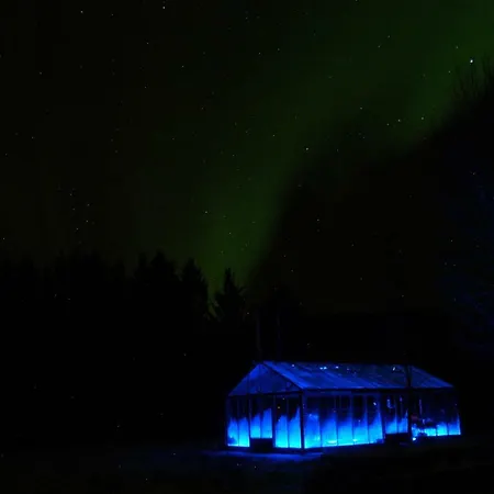 Affittacamere Art 3*