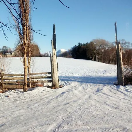 Affittacamere Art 3*