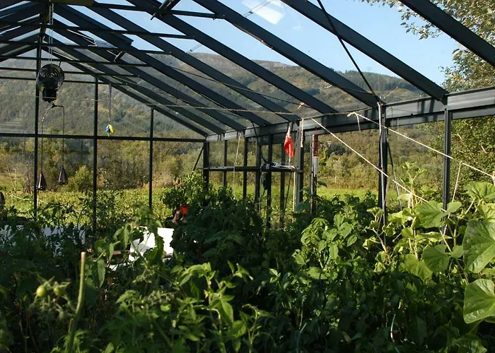 Art Casa de hóspedes